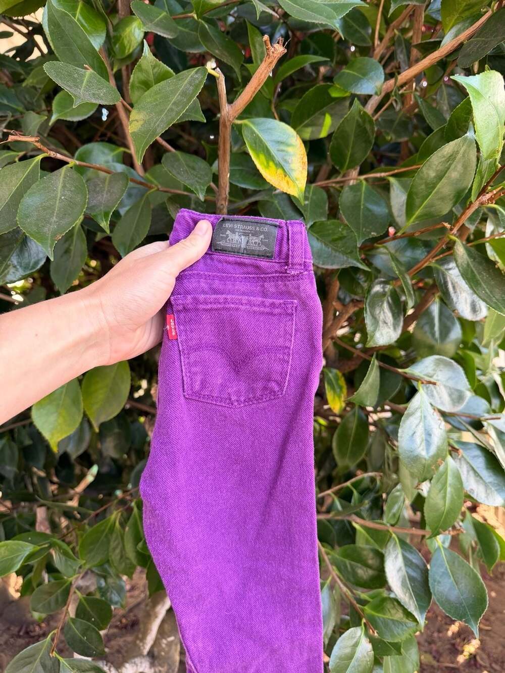 Y2K Levi's Purple Denim Jeans